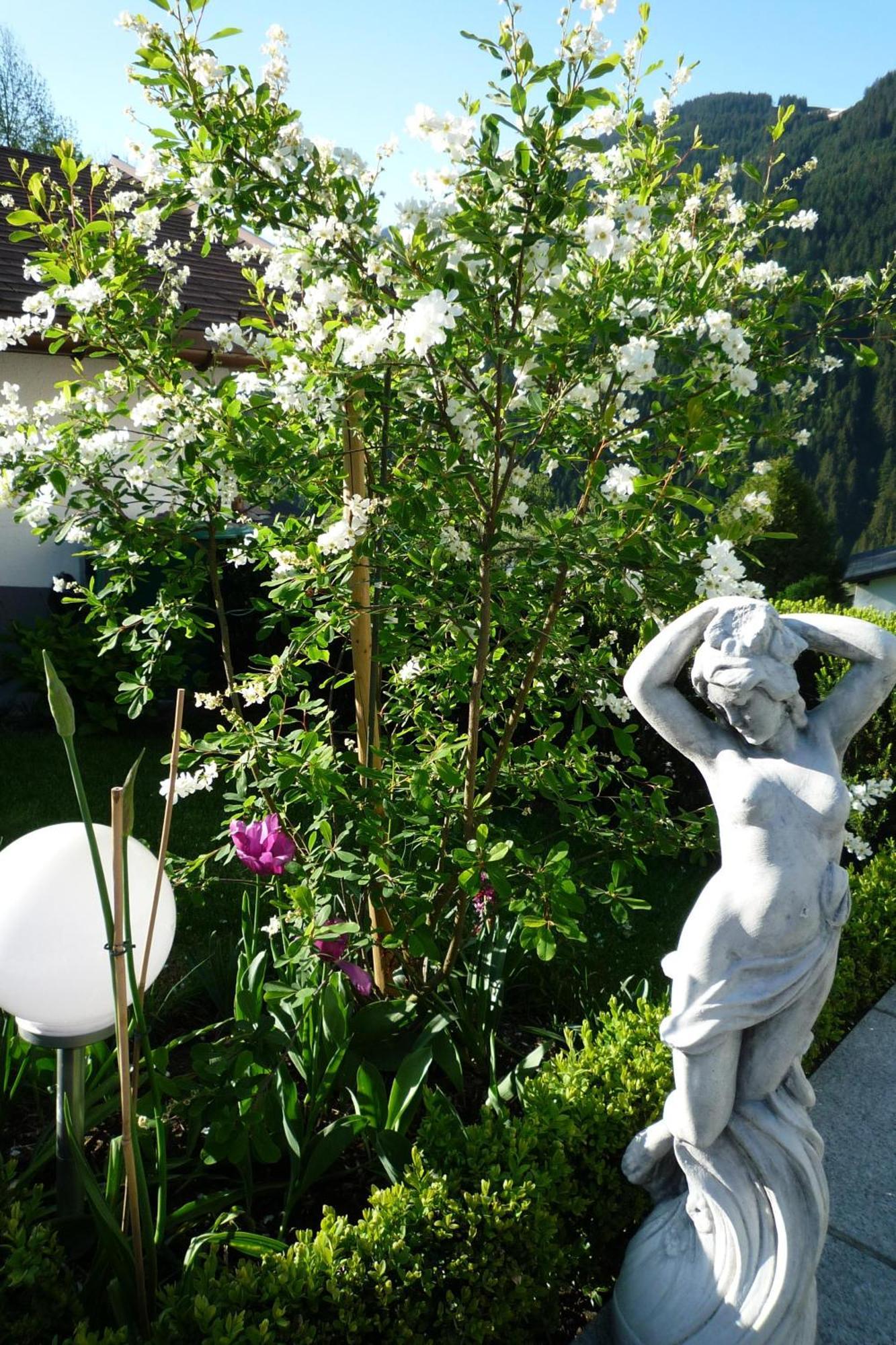 Appartement Zint Sankt Gallenkirch Bagian luar foto